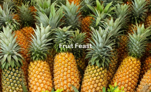 Fruit Feast