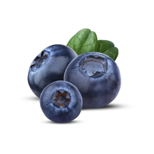 Blueberry Peru