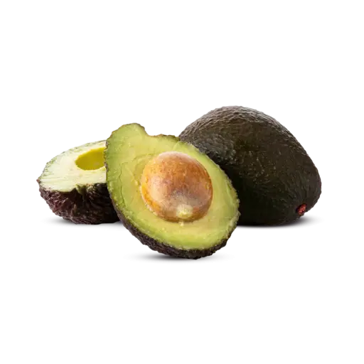 Hass Avocado South Africa