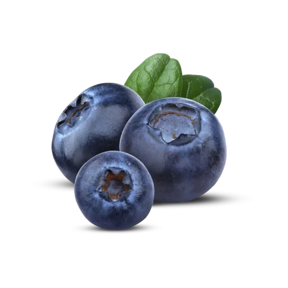 Blueberry Peru