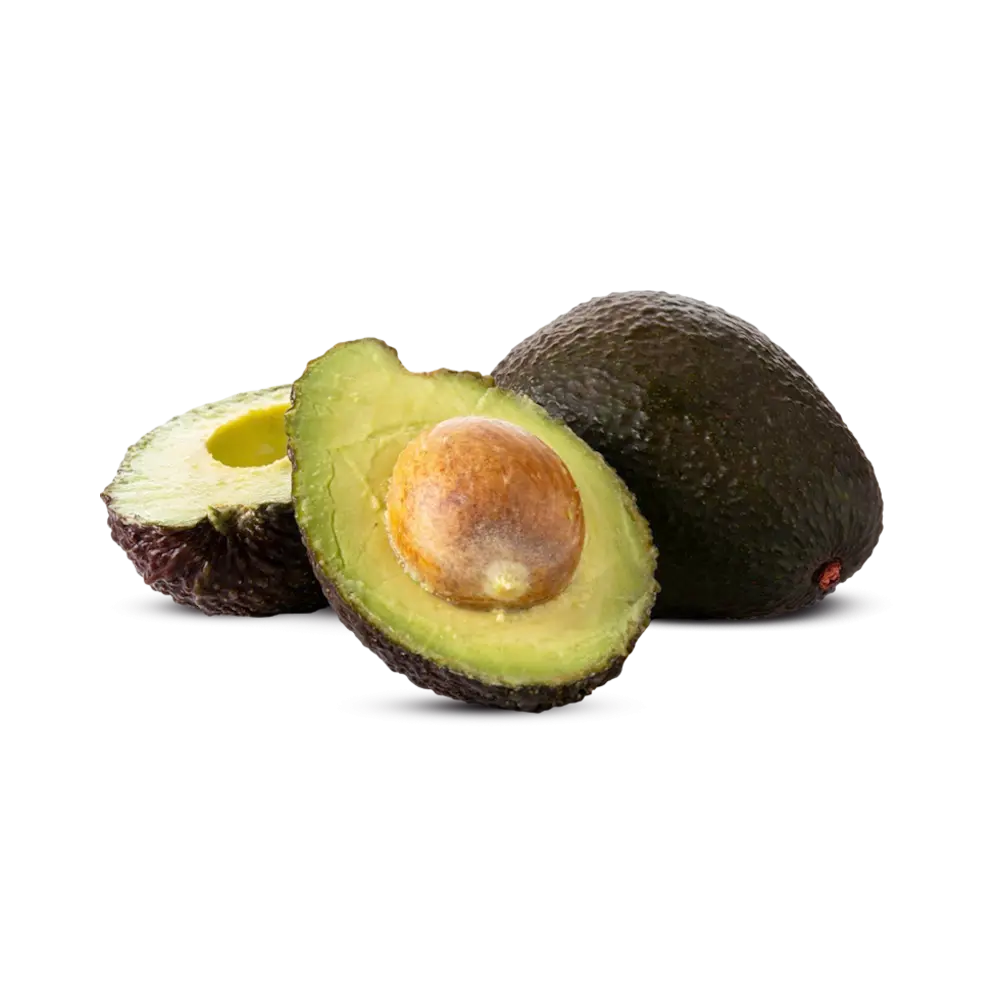 Hass Avocado South Africa