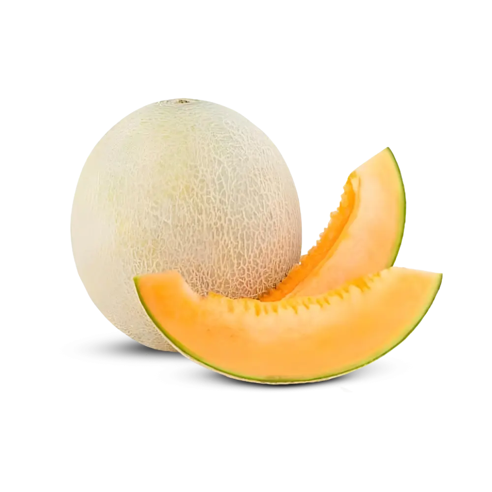 Musk Melon