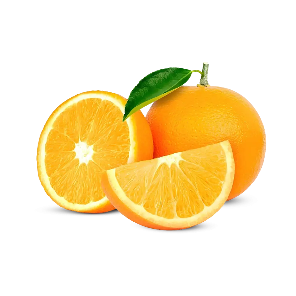 Navel Orange South Africa
