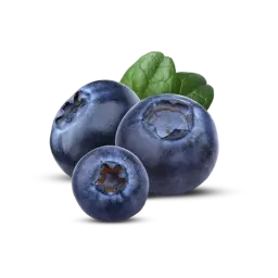 Blueberry Peru