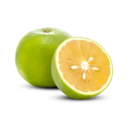 Mosambi