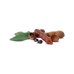 Sweet Tamarind