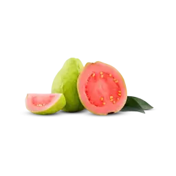Hybrid Guava