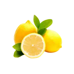 Citrus Egypt
